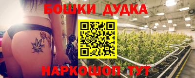 гидропоника Дубна
